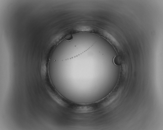 X0000115800541200911201400