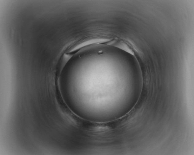 X0000115800543200911201400