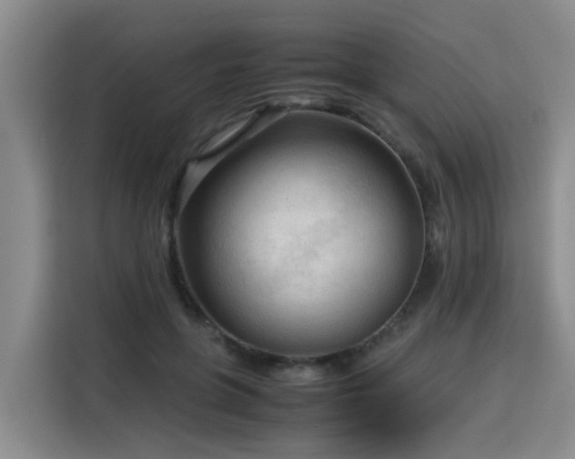 X0000115800551200911201400