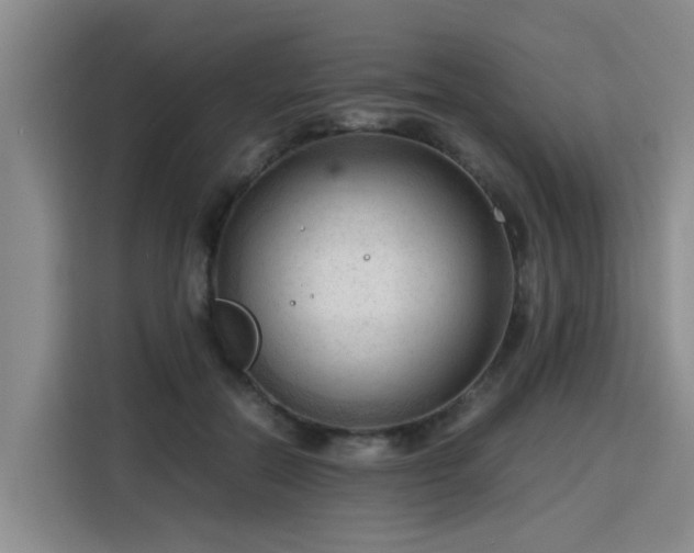 X0000115800554200911201400