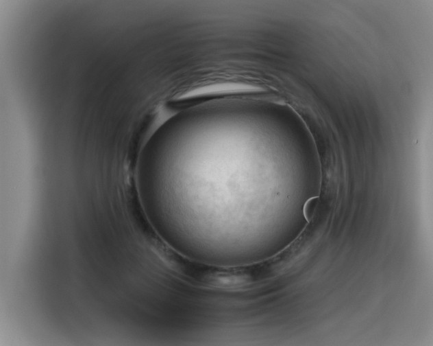 X0000115800555200911201400