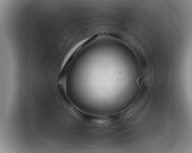 X0000115800563200911201400