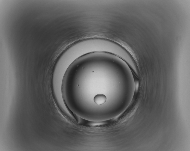 X0000115800577200911201359