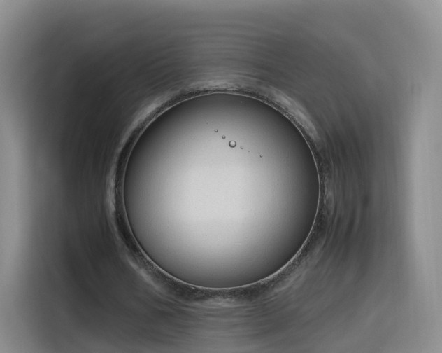 X0000115800578200911201359