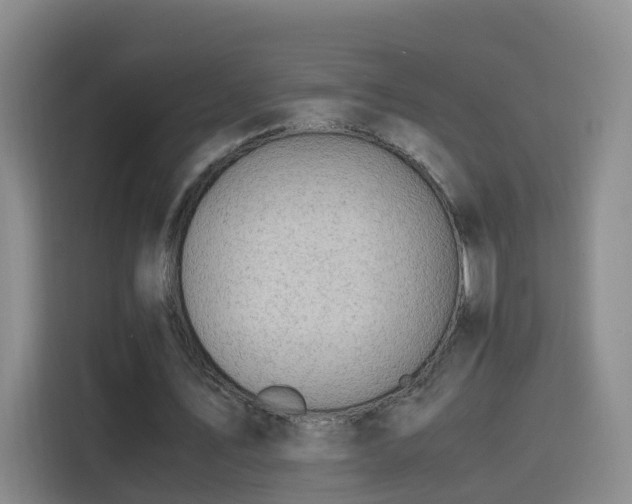 X0000115800579200911201359
