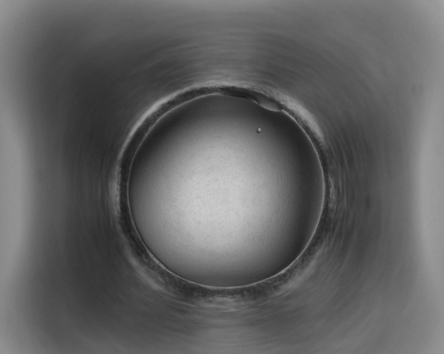 X0000115800580200911201359