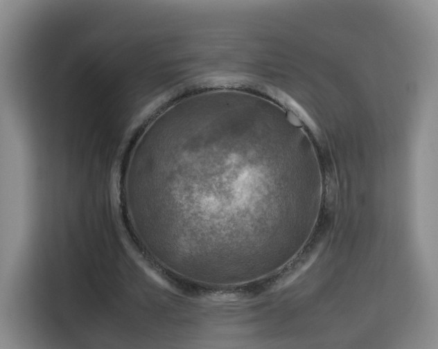 X0000115800581200911201359