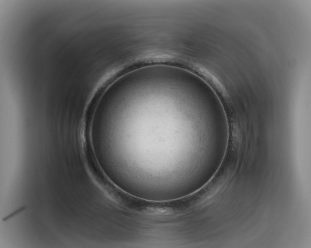 X0000115800582200911201359