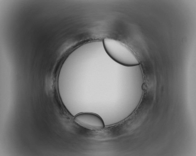 X0000115800583200911201359