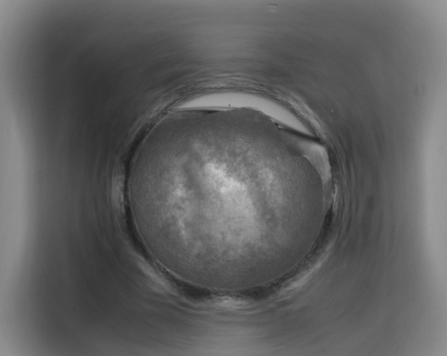 X0000115800585200911201359
