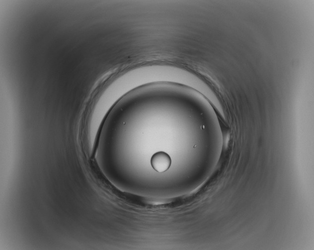 X0000115800587200911201359
