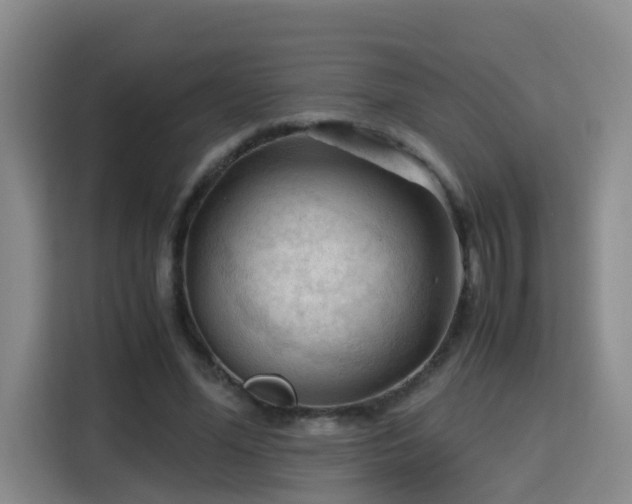 X0000115800588200911201359