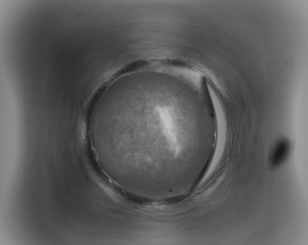 X0000115800589200911201359