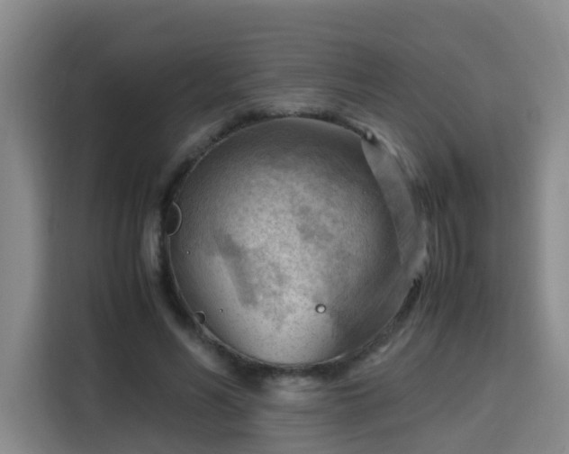 X0000115800590200911201359