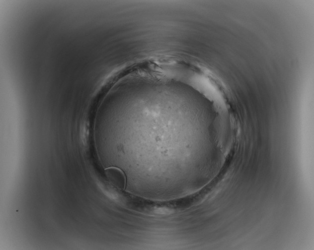 X0000115800592200911201359