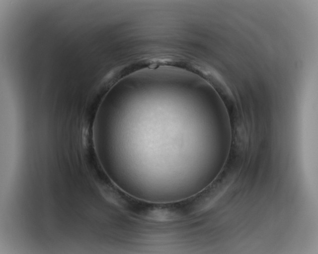 X0000115800596200911201359