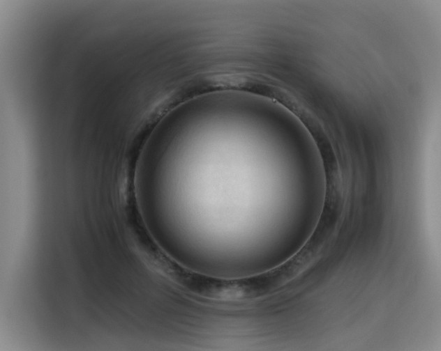 X0000115800600200911201359