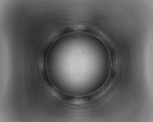 X0000115800604200911201359