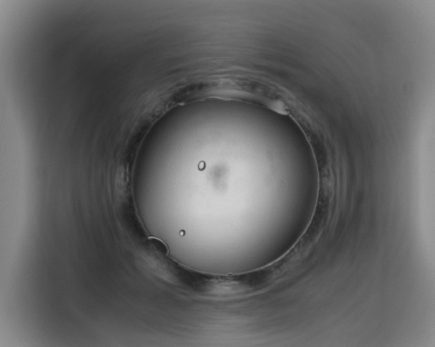 X0000115800605200911201359