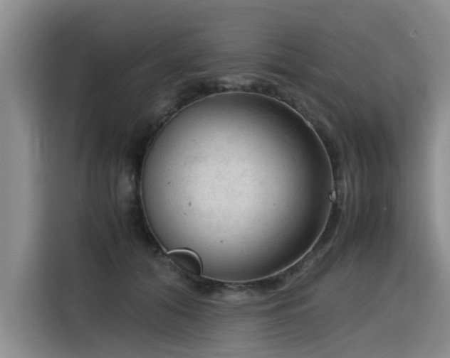 X0000115800608200911201359