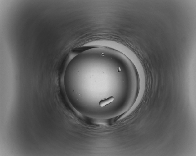 X0000115800609200911201359