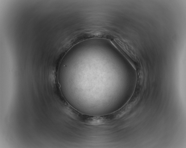 X0000115800612200911201359