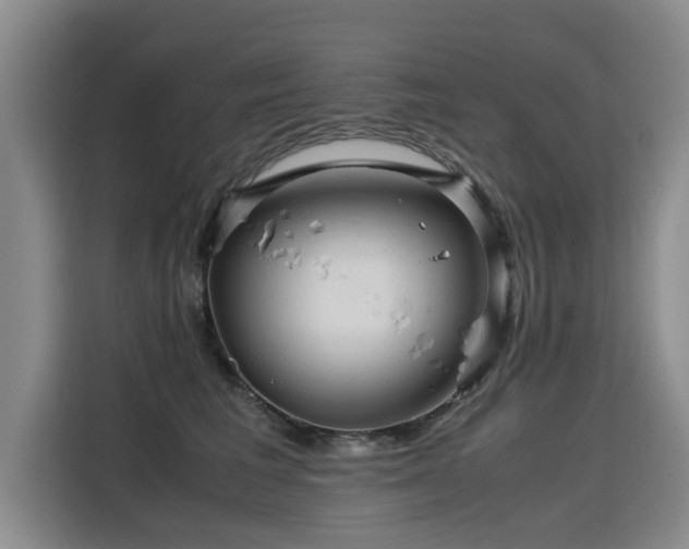 X0000115800613200911201359
