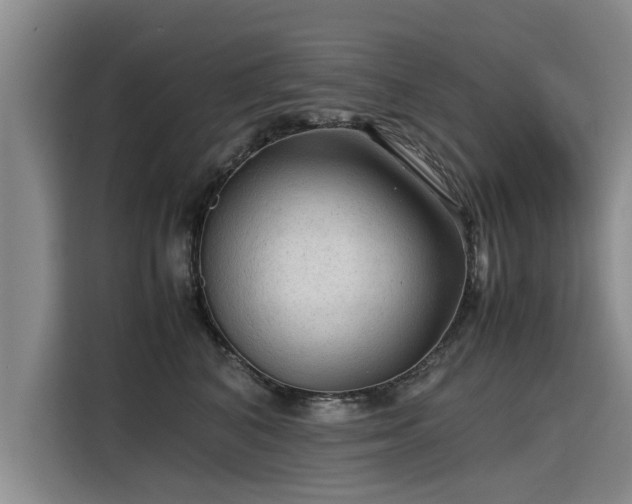 X0000115800616200911201359
