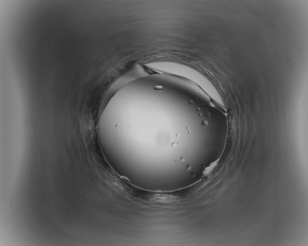 X0000115800617200911201359