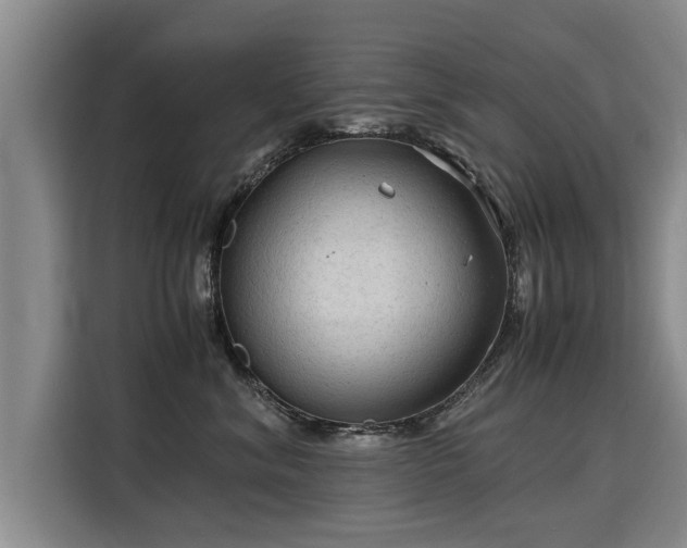 X0000115800620200911201359