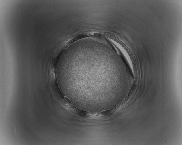 X0000115800621200911201359
