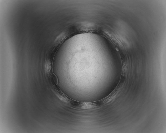 X0000115800623200911201359
