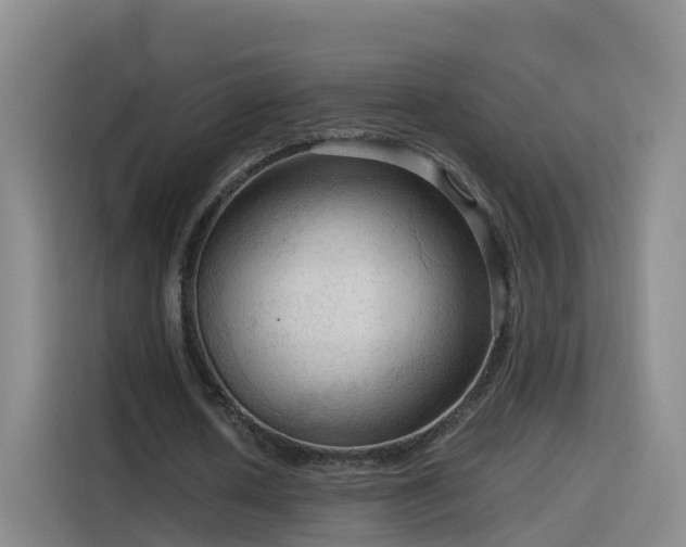 X0000115800626200911201358