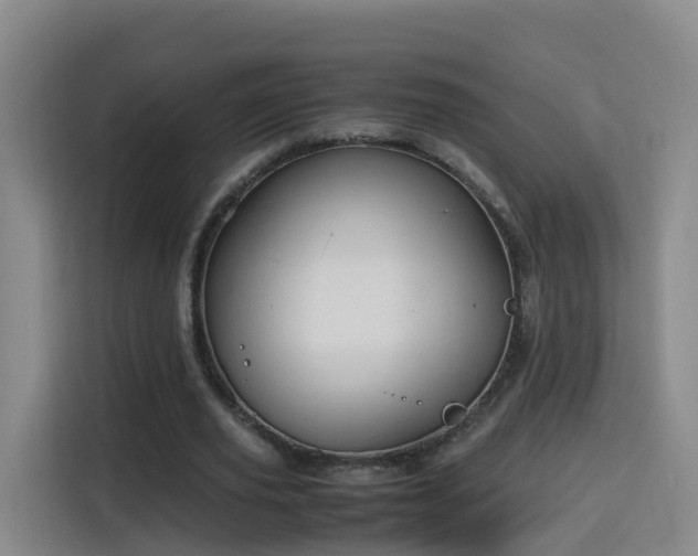 X0000115800629200911201358