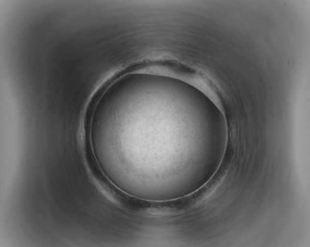 X0000115800630200911201358