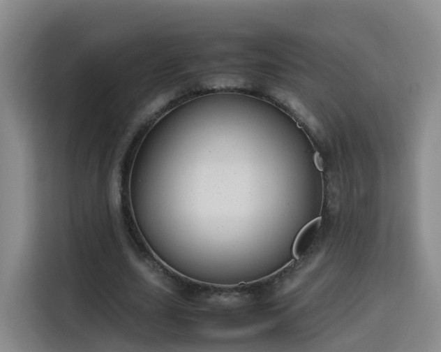 X0000115800631200911201358