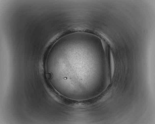 X0000115800634200911201358