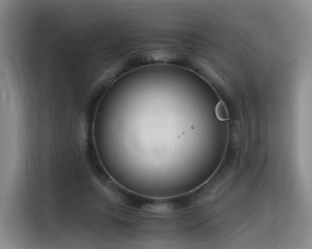 X0000115800639200911201358