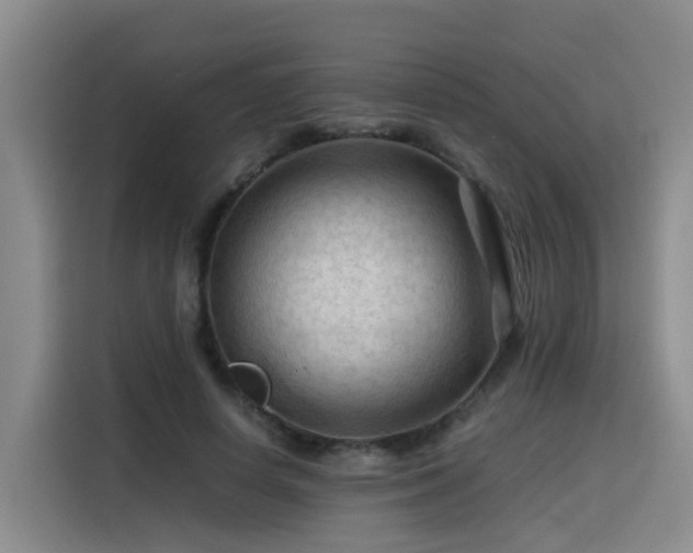 X0000115800642200911201358