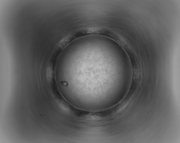 X0000115800648200911201358
