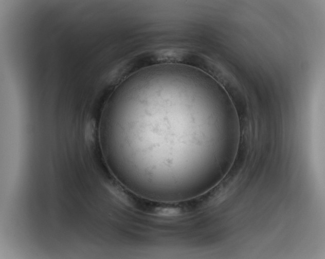 X0000115800649200911201358
