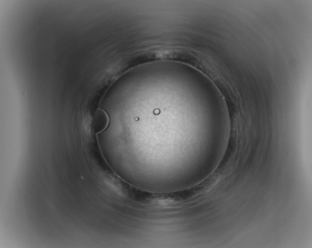 X0000115800650200911201358