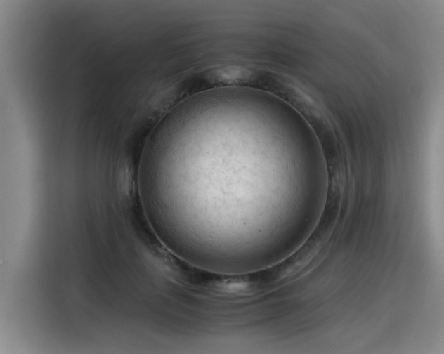 X0000115800651200911201359