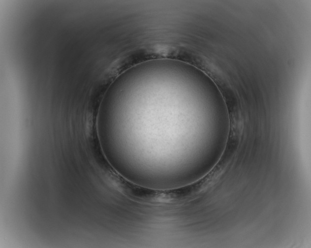 X0000115800656200911201359