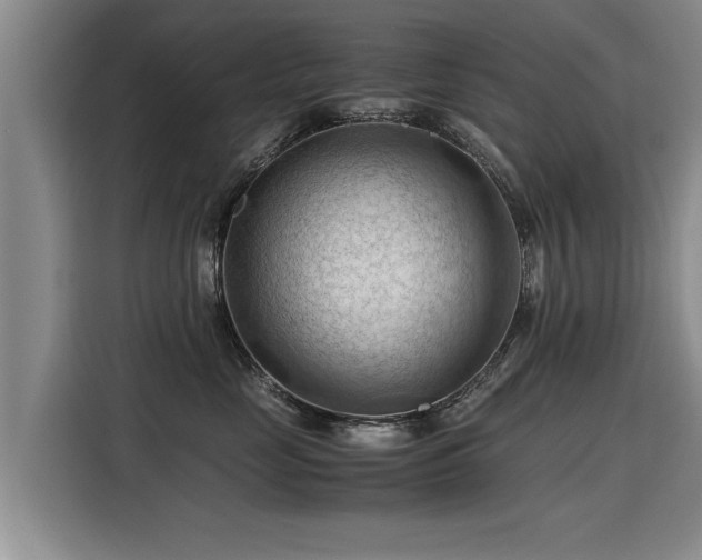 X0000115800669200911201359