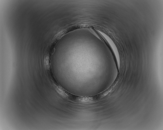 X0000115800670200911201359