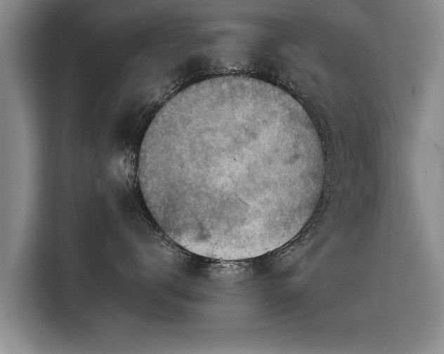 X0000115800672200911201359