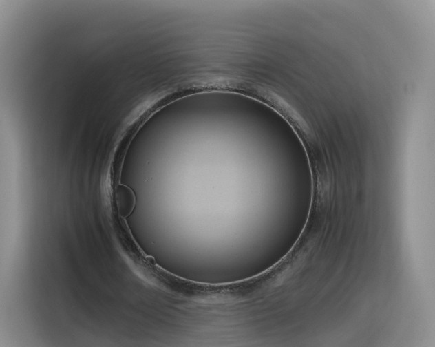 X0000115800674200911201358