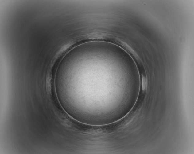X0000115800675200911201358