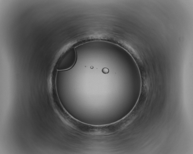 X0000115800678200911201358